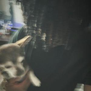 hunnid round (feat. Okaymar & luracks)