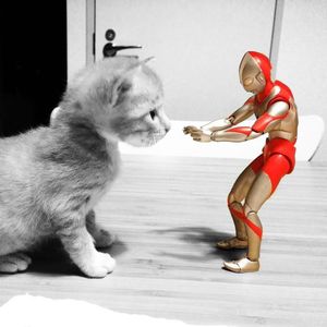 梦境里的奇妙旅行