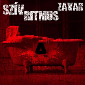Szív ritmus zavar