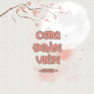 Cơm Đoàn Viên (Cover)
