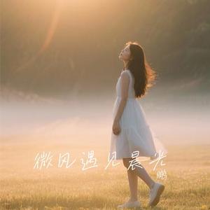 微风遇见晨光