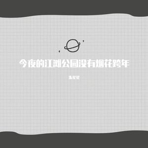 今夜的江滩公园没有烟花跨年