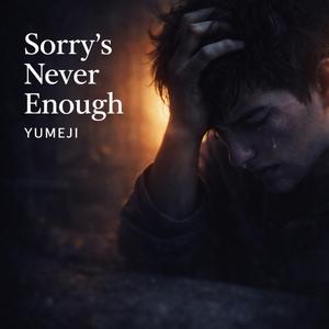 Sorry's Never Enough