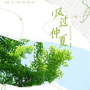 风过仲夏