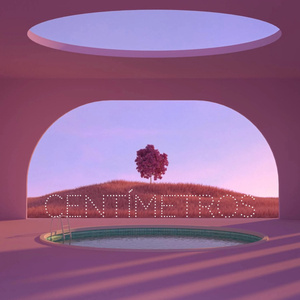 Centímetros