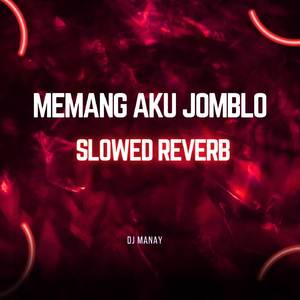 Memang Aku Jomblo (Slowed Reverb)