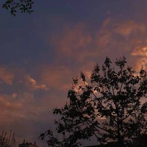 没人能够像我们一样