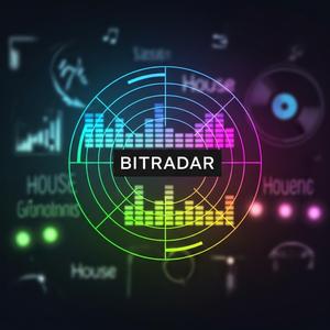BITRADAR