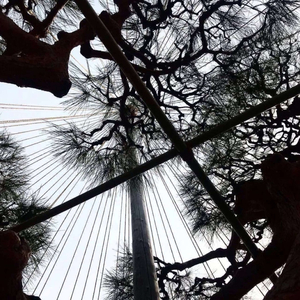 не знаю (prod. Zoni)