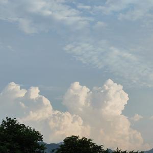 如果说（翻自 郁一凡）