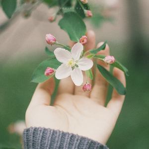 봄의 왈츠 (Spring Waltz)