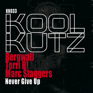 Never Give Up (Instrumental Mix)