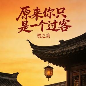 原来你只是一个过客