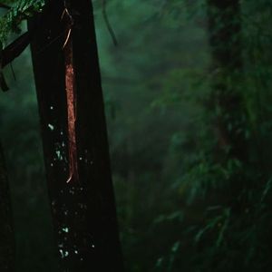 '山止川行'国风 Type Beat