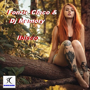 Ibisco (DJ ciaco original mix)