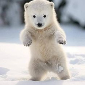 Come See About Me (slowed)