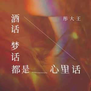 酒话梦话都是心里话 (DJ默涵版)