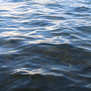 Echoes of Lugu Lake