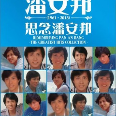 别後的岁月 (VINYL)