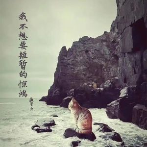 我不想要短暂的惊鸿