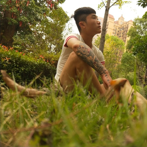 皇朝中我指鹿为马