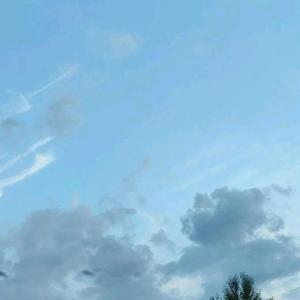 哎呦喂（Trai5or&lce CXLD)