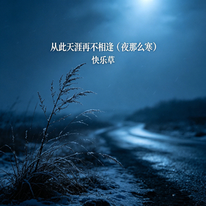 从此天涯再不相逢(夜那么寒)