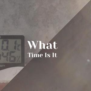 I Got a Rocket in My Pocket