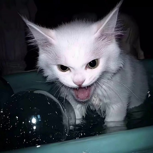 范玮琪-如果的事（DJ川渝 remix）