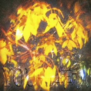 又一年秋（Prod.EVO MUSIC）