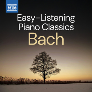 Keyboard Partita No. 2 in C Minor, BWV 826: Partita No. 2 in C Minor, BWV 826: IV. Sarabande