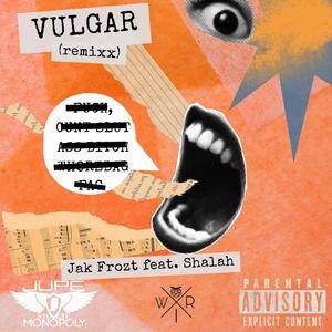VULGAR (remixx) (feat. Shalah)