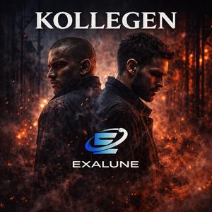 Kollegen
