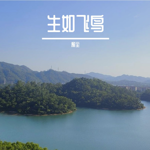 致陌生的你丨cover.河图