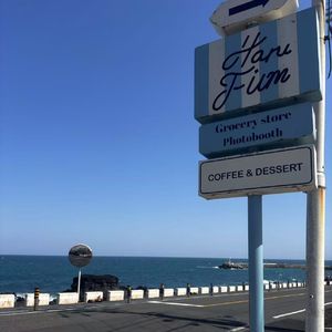 时光缝隙中的绽放与永恒之爱