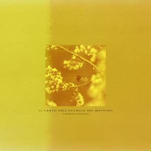 Il Canto dell’Uccello del Mattino