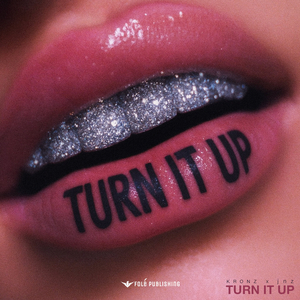 Turn It Up (Extended Mix)