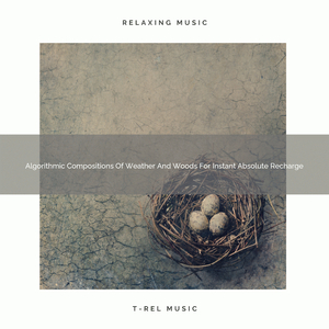 Vibes Of Ocean And Animals For Perfect Nap