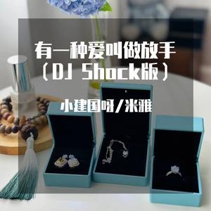 有一种爱叫做放手（DJ shock版）（小建国呀 / 米雅 remix）
