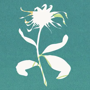 flos（翻自 初音ミク）