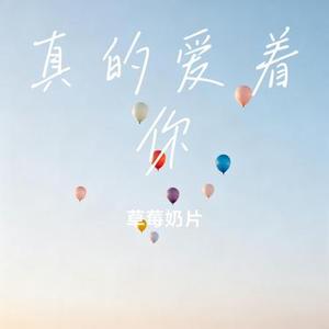 真的爱着你 (草莓奶片 Remix)