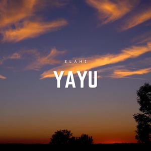 YAYU