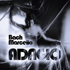 Bach: Concerto in D Minor, BWV 974 (After Oboe Concerto in D Minor, S. Z799): II. Adagio