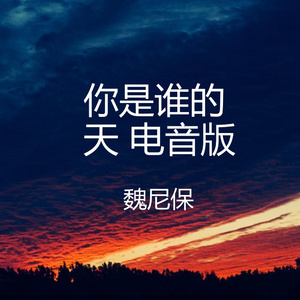 你是谁的天 (电音版)
