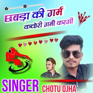 Chhabra Ki Garam Kachori Garmi Kargi