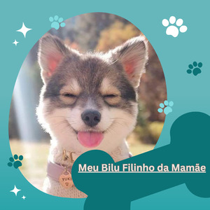Meu Bilu Filinho da Mamãe
