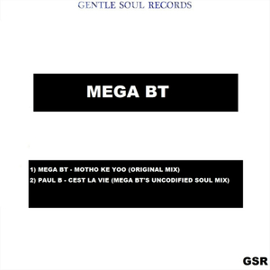 Cest La Vie (Mega Bt's Uncodified Soul Mix)
