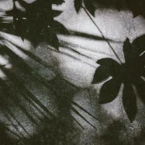 冥想音乐 修心养性