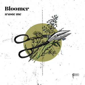 summer (feat. Lonely Spring)