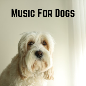 Music For Dogs